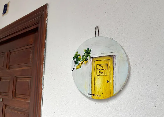 Lemon Tree Corazon De Cadiz Grupo Ac Gestion